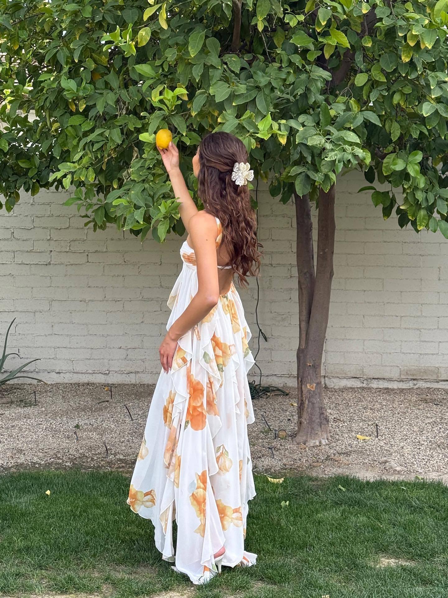 Gwen | Elegant Halter Maxi Dress